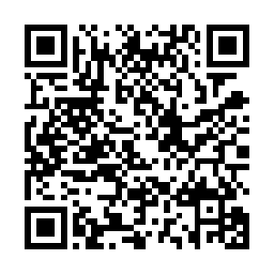 早已经筋疲力尽的我只感觉一阵阵眩晕冲击着我的脑袋二维码生成