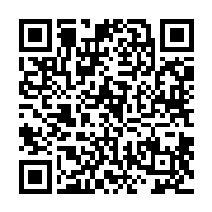 早已经见识过一次尸兵的官吏们还是忍不住浑身汗毛倒立二维码生成
