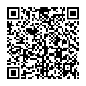早知道应该多打听一下流夏长老的为人再跑过来……不然也不会这么被动了二维码生成