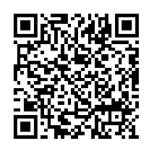 早知道应该让北燕就这么毁灭在尸兵的灾难之中二维码生成