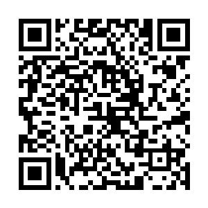 旱水青便会在泉水环绕之中的水地继续第二阶段的生长二维码生成