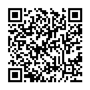 时不时的扭下腰脚下发发力就能完全控制好冲浪板二维码生成