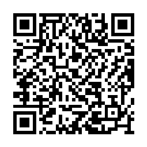 时不时还在白小鹿或者万藏海的肩膀上猛击一掌二维码生成