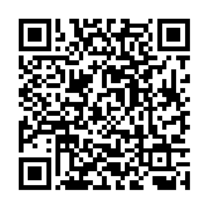 时代唱片那边明明越发加大了对这张专辑宣传力度二维码生成