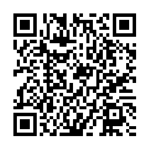 时家紫家马家这些杂碎趁我们族长和家族大供奉们不在肆意攻城二维码生成