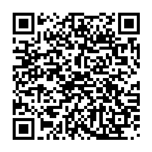 时的讨论中总结的――如果没有从小浸淫在好莱坞氛围里的切萨雷二维码生成