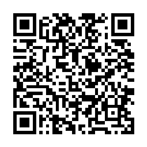 时维扬的目光才从地上没有了脖子的吴琛南那边转过来二维码生成