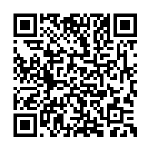 时间之塔的动静一下子在洞天之中引起一阵骚动二维码生成