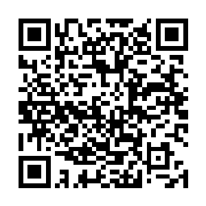 时间流的飞速流逝使得唐劫仿佛在这一刻走过了三十年二维码生成