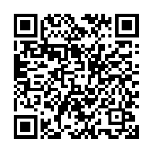 昆仑山玉虚宫内的孟奇正犹豫手中果子对青帝是好是坏二维码生成