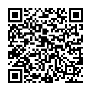 明夜空的乱风舞空对他的浮光掠影同样有着莫大指点二维码生成