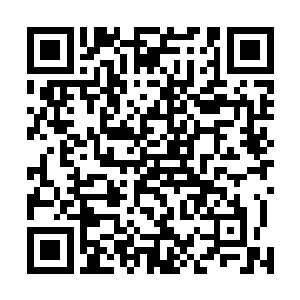 明年周岁的时候还等着外公亲自给他们添抓周礼的东西呢二维码生成