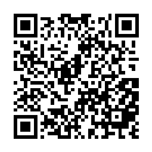 明年咱们至少有两部片子会送到欧洲去参加电影节二维码生成