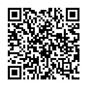 明年奥斯卡的最佳男配角可以说是一个基本不会存在悬念的奖项二维码生成