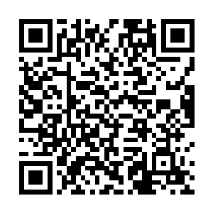 明年想要吃的话回原来平原部落那里割回来就可以了啊二维码生成