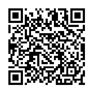 明明上一刻才把对方当仇人一样狠狠的揍了对方二维码生成