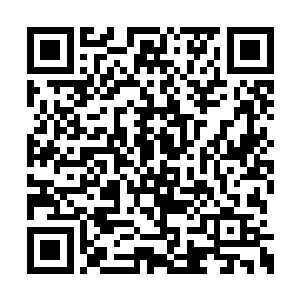 明明之前单干的时候还是一个有勇有谋的人才呢二维码生成