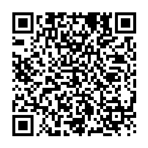 明明在凌霄仙鹤背上时就已经能看到在灵雾中若隐若现的海上宫殿的模糊轮廓二维码生成