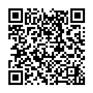 明明大家都知道只有郑想容的牌位住到关雎宫去了二维码生成