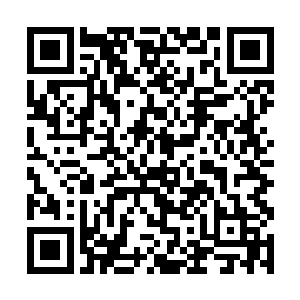 明明已经尽心的教导了一些她应该学习的谋略和手段二维码生成