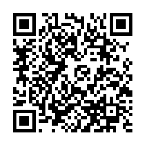 明明自己什么都没做白雪却一副受了欺负不敢出声的表情二维码生成