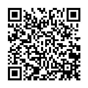 明明说过很快会找到新的家园就算不是真正的可居住星球二维码生成