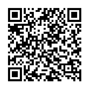 明明这一小剖土根本不可能对整条小溪起到什么作用二维码生成