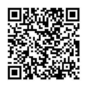 明明长老们说这个点到……大人物都喜欢姗姗来迟么……二维码生成