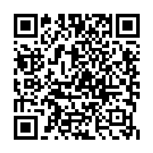 明显也是没想到秦方怎么突然会变得这么强大的二维码生成
