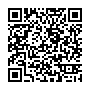 明月轩肯定已经将答应自己的丹药全都炼制成功了二维码生成