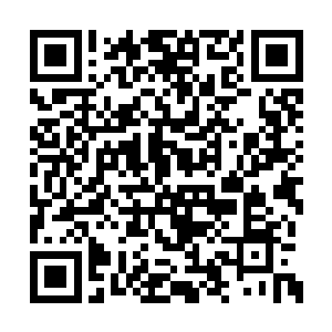 明泽盟却毫不犹豫消耗掉成千上万的真君和天君二维码生成