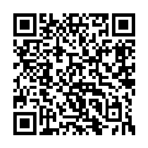 明白了为什么这边将几人给拿住后却不装进兽囊二维码生成