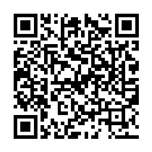 明白这些草药要的急所以就直奔所需要的草药而去二维码生成