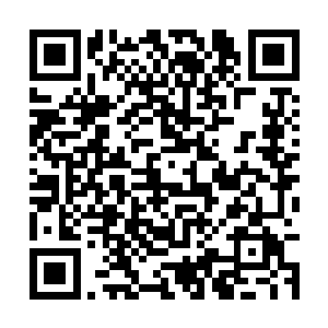 明眼人都会看出这七匹马是为了七位a级成员所准备的二维码生成