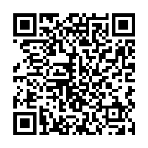 明面上一场让无数人丧命的腥风血雨似乎已经过去了二维码生成