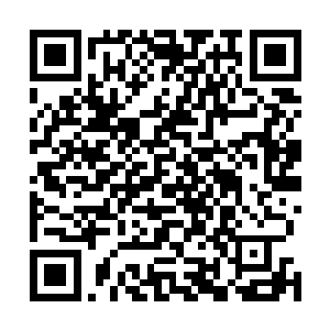 易峰科技应该也有安排你们这些数学院的精英人物发问吧二维码生成