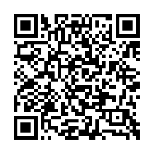 易真这个明显就是供主角们升级的踏脚石兼炮灰二维码生成