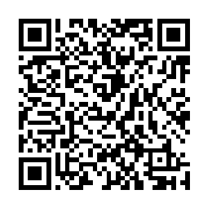 易筋九窍金丹这等比松鹤长寿丹更高级的丹药却是有价无市二维码生成