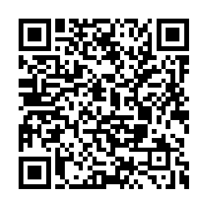 昔年胸脯符合太平公主封号的亡国公主早已不再二维码生成