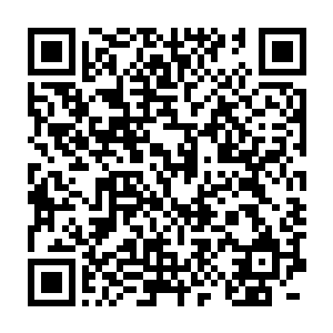 星华充盈的黑炭体内震裂的五脏六腑快速在点点星光的修复下愈合二维码生成