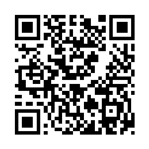 星星点点的月光通过树林中的缝隙倾洒下来二维码生成