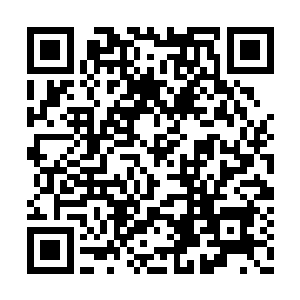 星梓笑容满面的拉起流墨墨的手就跑进商酒楼中二维码生成