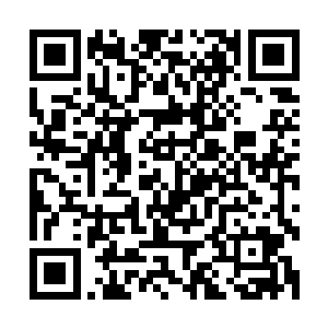 星王为什么会不顾自己的生死跟我们一同去对付另外三大鬼王二维码生成