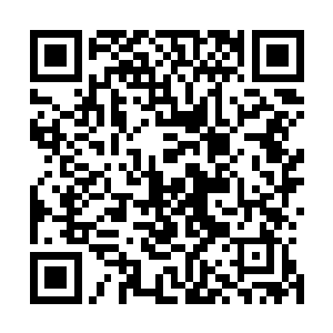 星空科技在技术研发这一块还真没开口找国家要过多少扶持二维码生成