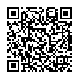 星空里至少有七成以上的势力都派出了高层前来观礼二维码生成