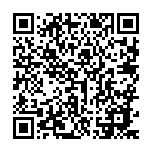 星舰内部的虚拟学习系统能确保所有船员都学习到玄奥繁复的海量知识二维码生成