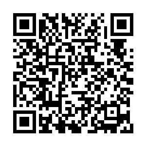 映入眼帘是二哥精致地脸庞和透着笑意的桃花眼二维码生成