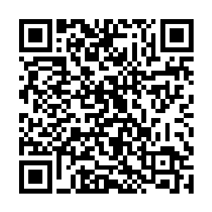 映入眼帘的却是一对金黄色的犹如黄宝石一样的眸子二维码生成