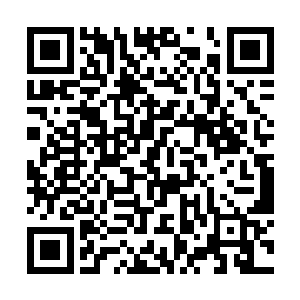 映出了床上一躺着一位头发花白的老年妇女苍白的脸二维码生成