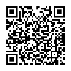 春季区其他的队伍却是毫不迟疑的就冲进了中央区二维码生成